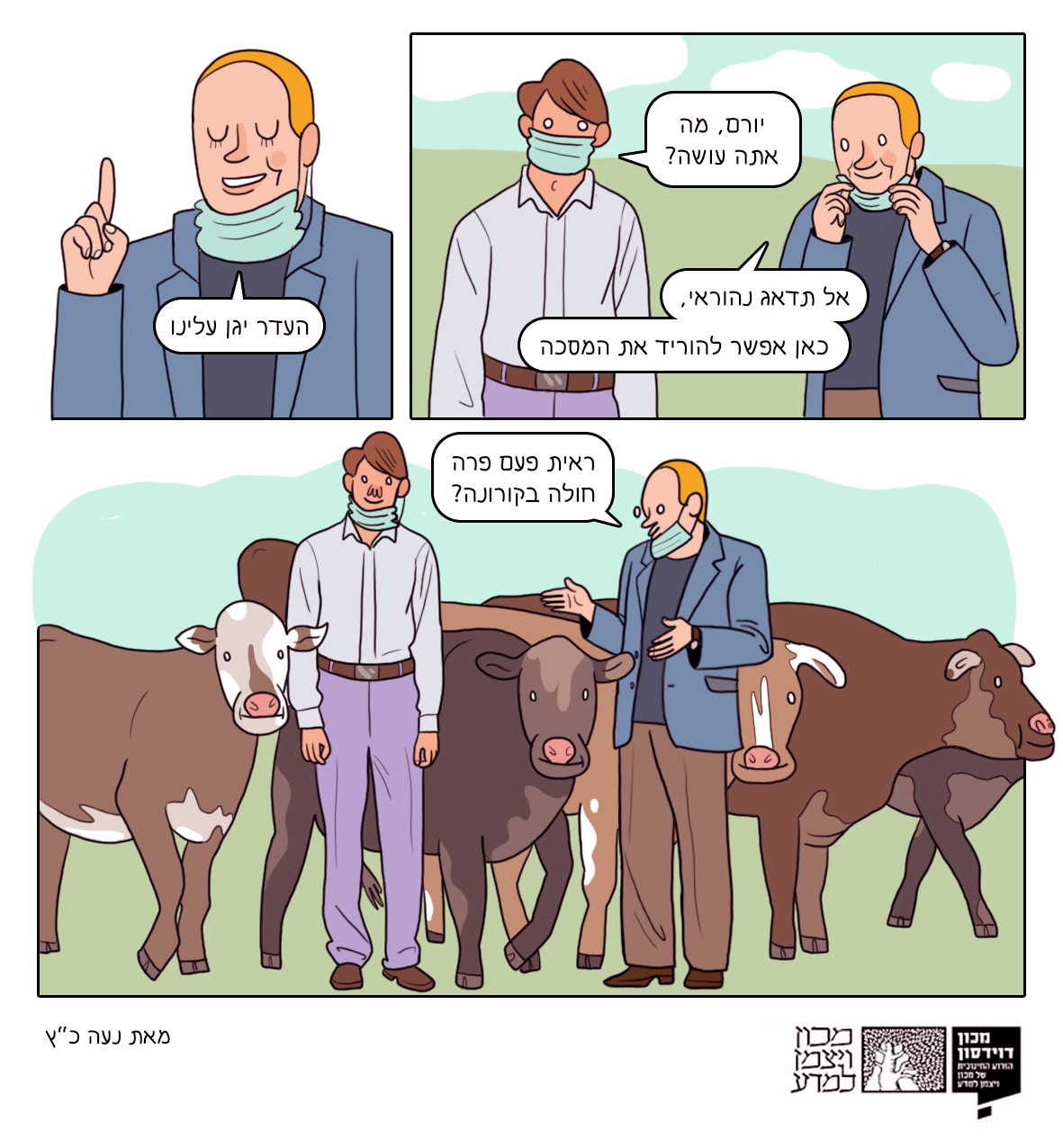 האם העדר יגן עלינו מפני הקורונה? לא בטוח שאפשר לסמוך על הפרות בעניין הזה | איור: נעה כ"ץ