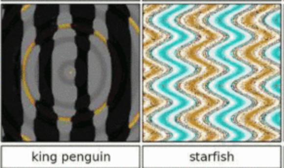 כיתוב: ירידה חדה בשיעור הטעויות. תוצאות תחרות ImageNet בשנים 2016-2011 | מקור: Gkrusze, ויקיפדיה