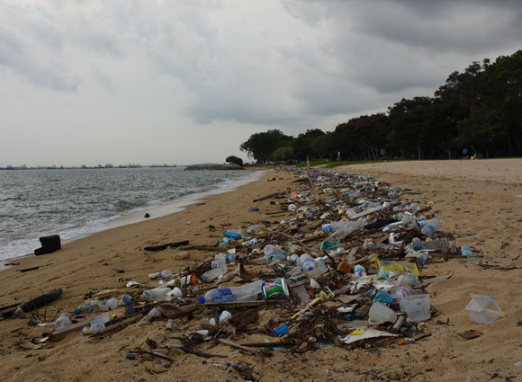 פסולת פלסטיק רבה על חוף בסינגפור | צילום: vaidehi shah, ויקיפדיה