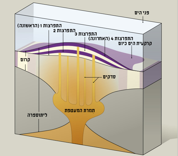 תרשים מודל עוגת השכבות