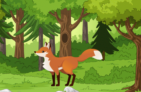 אילוסטרציה של השינוי שעבר על השועלים העירוניים | יונת אשחר, Shutterstock