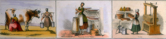 תמונות מתוך איור של Benjamin Waterhouse Hawkins, מ-1850 | Oxford Science Archive, Heritage Images, SPL