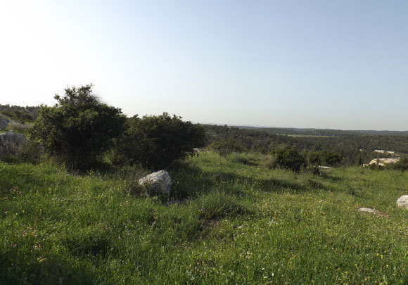 אחת הנקודות הצרות במסדרון האקולוגי הארצי. הגבעות באזור מודיעין | צילום: איגור ארמיאץ' שטיינפרס