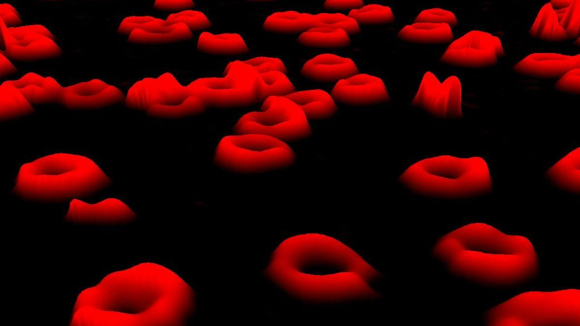 הולוגרמה מיקרוסקופית דיגיטלית של תאי דם אדומים חיים | צילום: Egelberg, Wikipedia