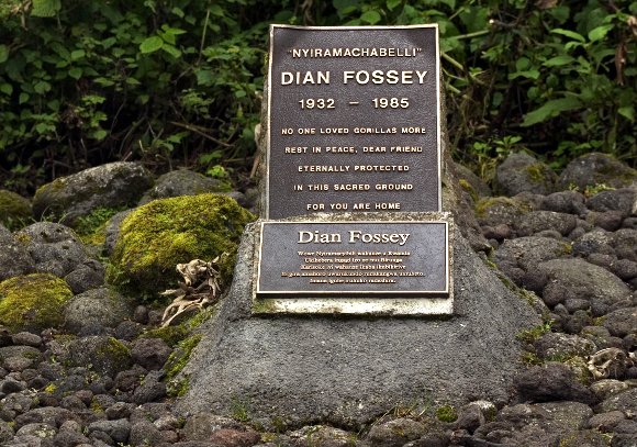 קברה של פוסי בתחנת המחקר שלה | Shutterstock