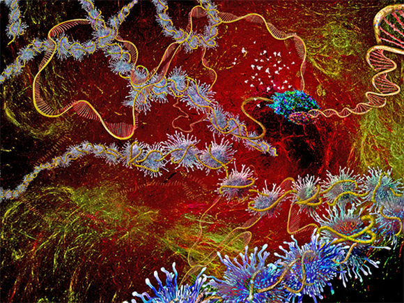 תהליך שעתוק DNA ל-RNA ותרגום לחלבון | KEITH CHAMBERS, Science Photo Library