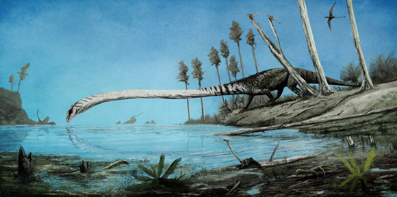 טַנִיסְטְרוֹפֵאוּס | איור: MARK P. WITTON / SCIENCE PHOTO LIBRARY