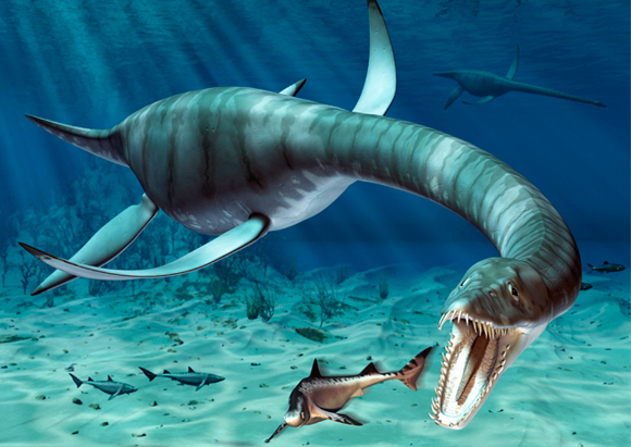 פליוזאור | איור: ROGER HARRIS / SCIENCE PHOTO LIBRARY