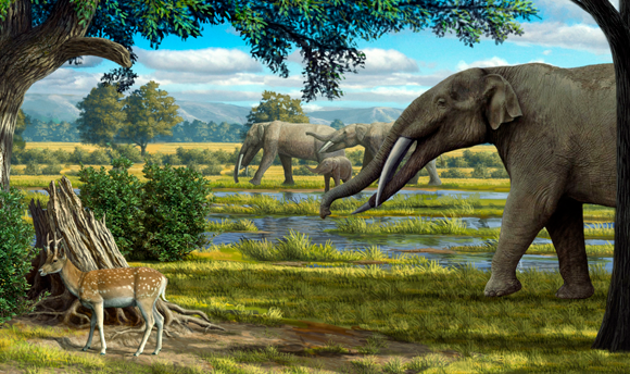 גומפותריום, אחד הפילאים הקדומים של אזורנו | איור: MAURICIO ANTON / SCIENCE PHOTO LIBRARY