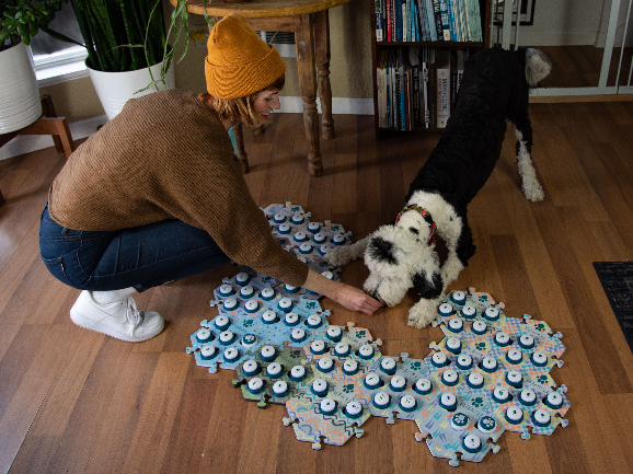 מה אומרים לה? הכלבה באני עם דיוויין, לצד לוח הכפתורים | FluentPet