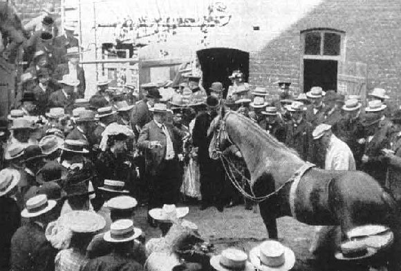 הנס פותר שאלות בפני קהל | ויקיפדיה, Karl Krall