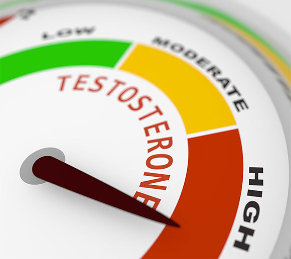 רמות גבוהות של ההורמון | איור: GrAl, Shutterstock