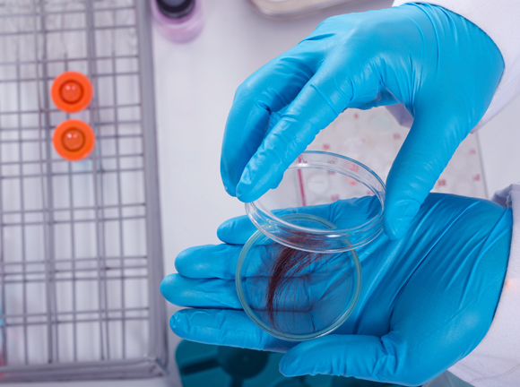 אנו יכולים לקבוע כיום בקלות יחסית את הרצף הגנטי, אבל לא להבין את משמעותו. בדיקות DNA | צילום: Shutterstock