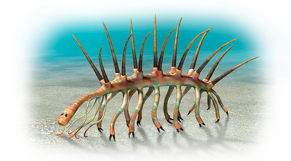 עוד מועמד אפשרי לתפקיד האב הקדמון של כל פרוקי הרגלים: Hallucigenia sparsa, יצור שחי על קרקעית הים, בתור הקמבריון | איור: MASATO HATTORI / SCIENCE PHOTO LIBRARY