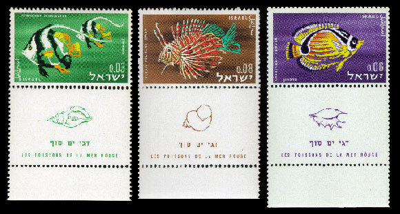 כיום שוק האספנים כרוך אחריהם, וההיצע גדל בהתאם