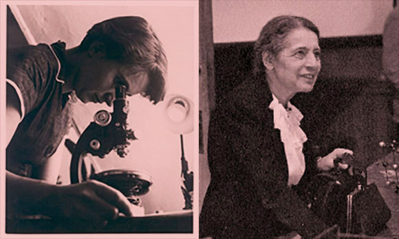 רוזלינד פרנקלין (משמאל) וליזה מייטנר |MRC Laboratory of Molecular Biology, Smithsonian Institution