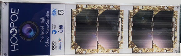 דגם של לווין דוכיפת 3 | איתי נבו