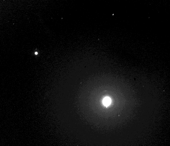 אחד קטן ומהיר מאוד האחר קטן עוד יותר ואיטי יותר. פובוס (מימין) ודיימוס בתנועה סביב מאדים | מקור: נאס"א