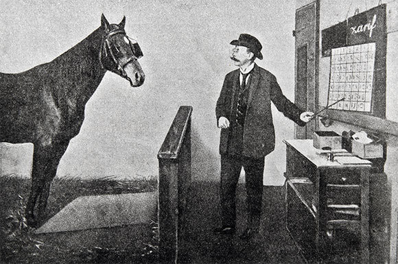 סוסים לא באמת יודעים לקרוא | איור: מכתב העת הרוסי Niva, סנקט פטרסבורג 1913; אולג גולובנב, שאטרסטוק