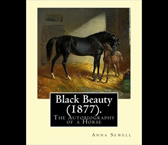 מודל לאקטיביזם למען זכויות הסוסים. "הסוס השחור"