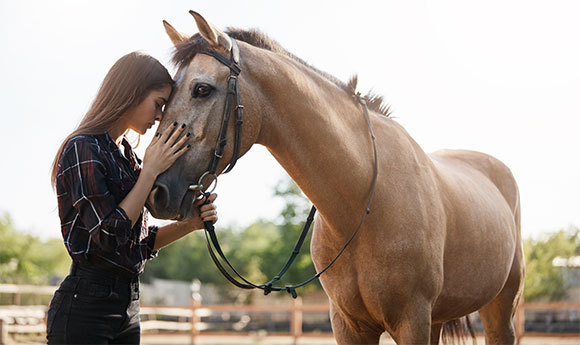 מקומם של הסוסים בטבע? לא בטוח | צילום: Lyubov Levitskaya, שאטרסטוק