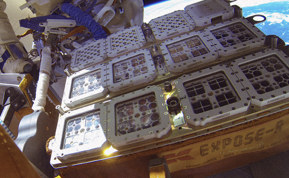 תנאים קיצוניים. זרעי התודרנית ודגימות ביולוגיות אחרות במתקן הניסוי מחוץ לתחנת החלל הבינלאומית | צילום: esa