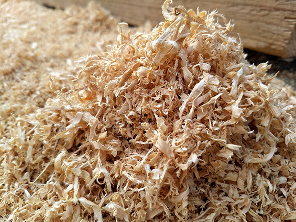 נסורת של עץ אלון . Daniil Dobrunov, Shutterstock