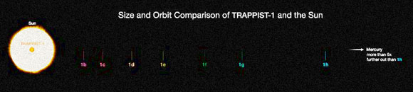 השוואת גדלים: TRAPPIST-1 והשמש שלנו. כל כוכבי הלכת קרובים אליו יותר מכוכב חמה, הקרוב ביותר לשמש שלנו | איור: ESO