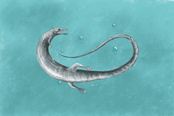 זוחל ימי (Pleurosaurus) מסדרת מחודקי הראש איור: Roberto Ochoa