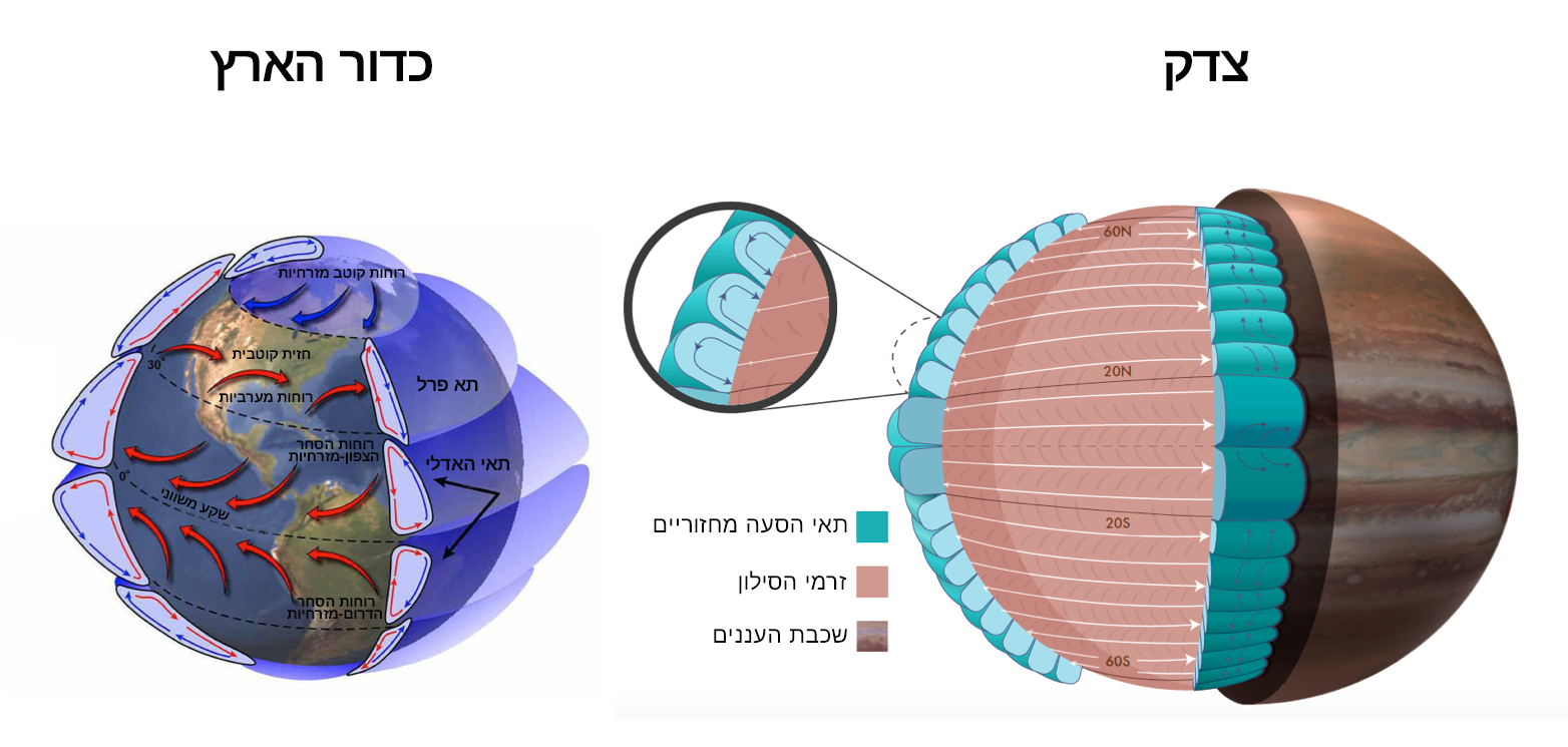 תנועת האוויר המחזורית בתאי ההסעה של צדק מזכירה מאוד את המנגנון של תאי פרל בכדור הארץ | איור: מעבדת יוחאי כספי, מכון ויצמן למדע