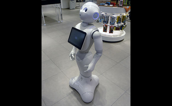 רובוט לא ממוגדר של חברת אלדברן רובוטיקס | צילום: ויקיפדיה, נחלת הכלל