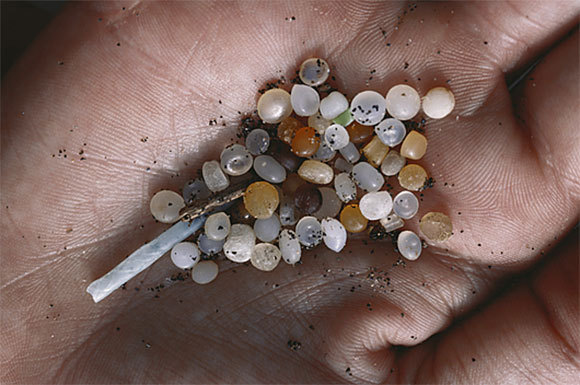 כדורוני פלסטיק שנאספו בחוף הים בקוסטה ריקה | Bud Lehnhausen, Science Photo Library