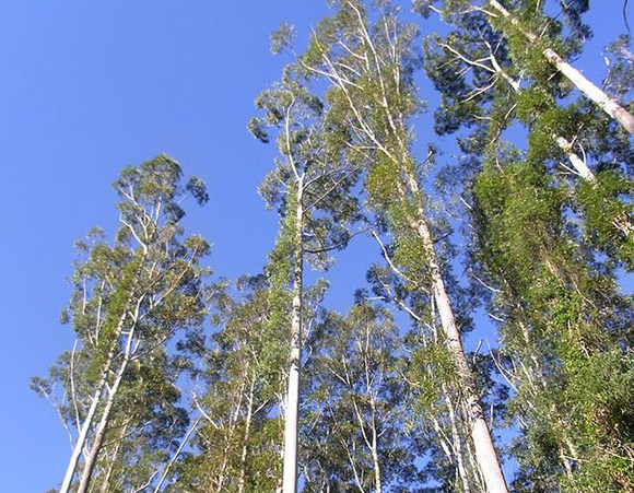 Pat de la Harpe, shutterstock