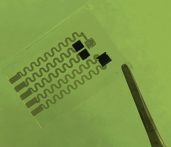 שכבת החיישנים של הפלסטר | אתר הטכניון