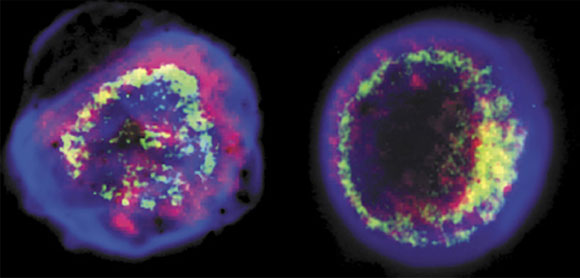 שרידי סופרנובות