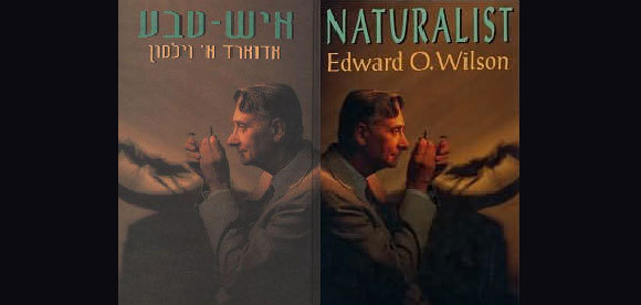 כריכת ספרו של וילסון, "איש טבע", בעברית ובאנגלית