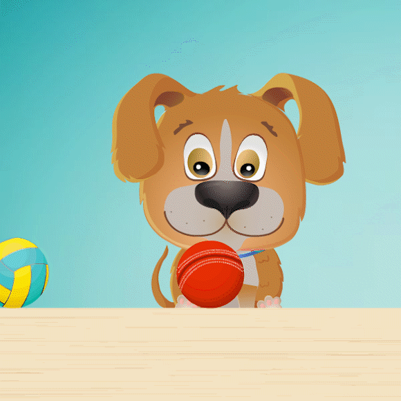 כלב מסתכל על כדורים נעים | שאטרסטוק, יונת אשחר