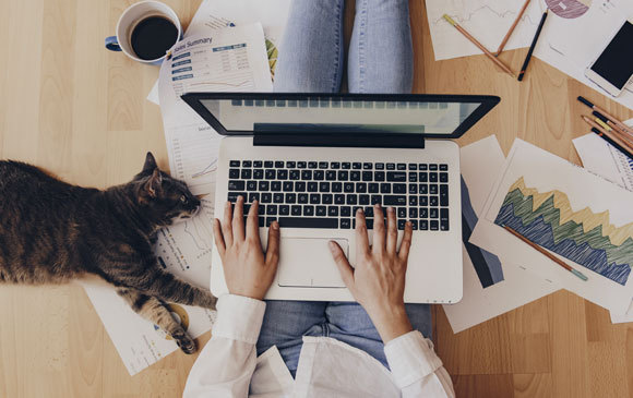 האם מדובר בשינוי קבוע בתרבות העבודה? עבודה מהבית | אילוסטרציה: Creative Lab, Shutterstock