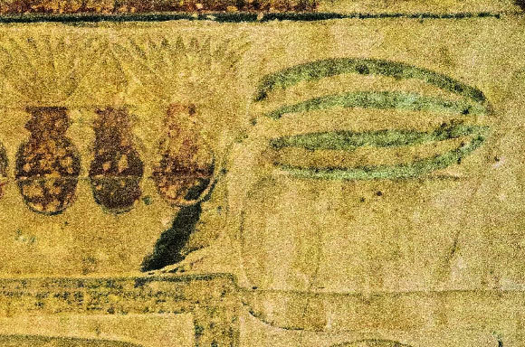 ציור שנמצא בקרב מצרי מלפני 4,400 שנים | קרדיט: Lise Manniche, מתוך המאמר Renner, Perez-Escobar. et al, 2021