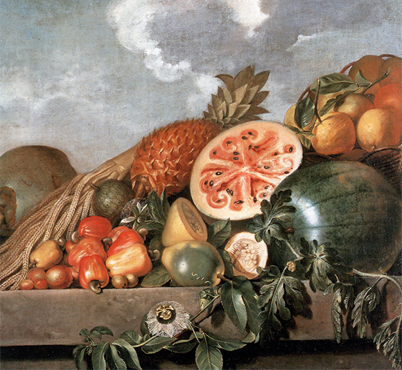 אבטיחים ופירות אחרים מהמאה ה-17, בציור של הצייר ההולנדי Albert Eckhout | ויקיפדיה