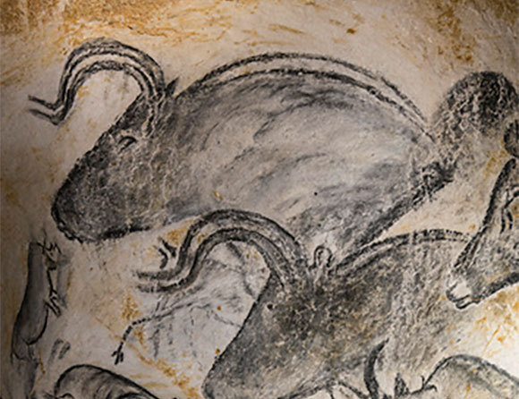 ציור של פרים, קרנפים, וחיה קטנה מסתורית | Philippe Psaila, Science Photo Library