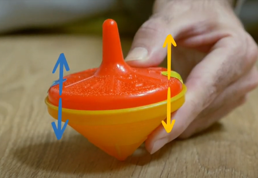 הסביבון לאחר חצי סיבוב, מראה איזון בעכוחות הפועלים עליו | צילום: איילת אלבנדה, איורים: נעמה זיו-חיון