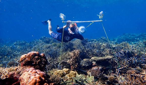 תלמיד המחקר טים גורדון מציב את אחד הרמקולים בשונית | צילום: Harry Harding /University of Bristol /SWNS.COM