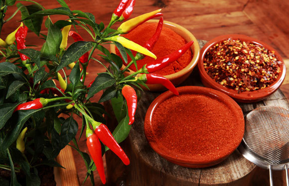 צמח פלפל חריף (צ'ילי), צ'ילי גרוס ואבקת צ'ילי | צילום: SteAck, Shutterstock