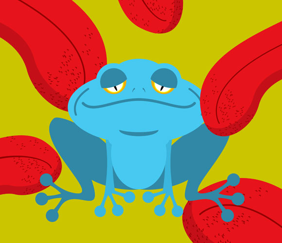 ליקוק קרפדה | איור: Top Vector Studio, Shutterstock