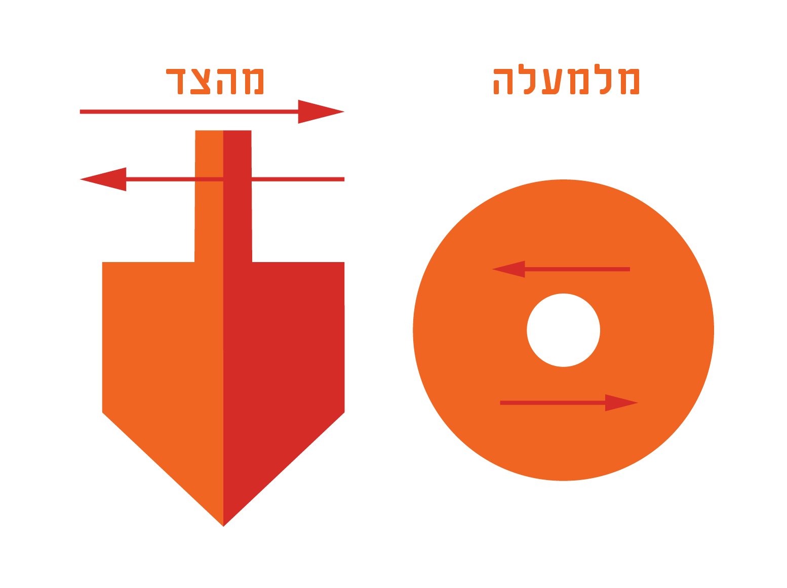 הכיוונים בהם מזיזים את הסביבון. ציור: מריה גורוחובסקי, Shutterstock