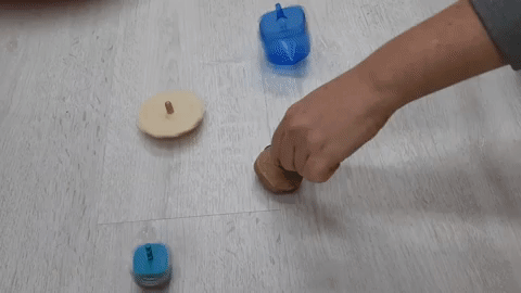 סביבונים שונים. צילום: נעם לויתן