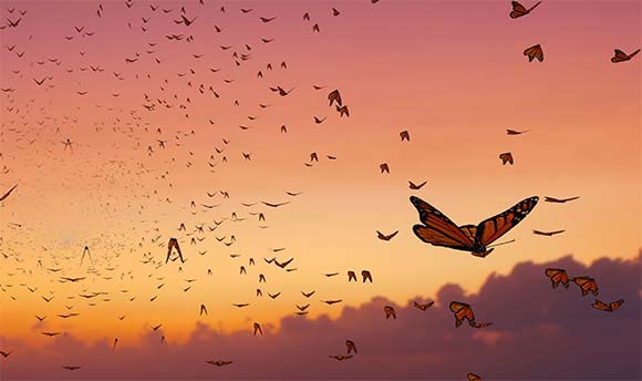 דנאית מלכותית | איור: Dotted Yeti, Shutterstock