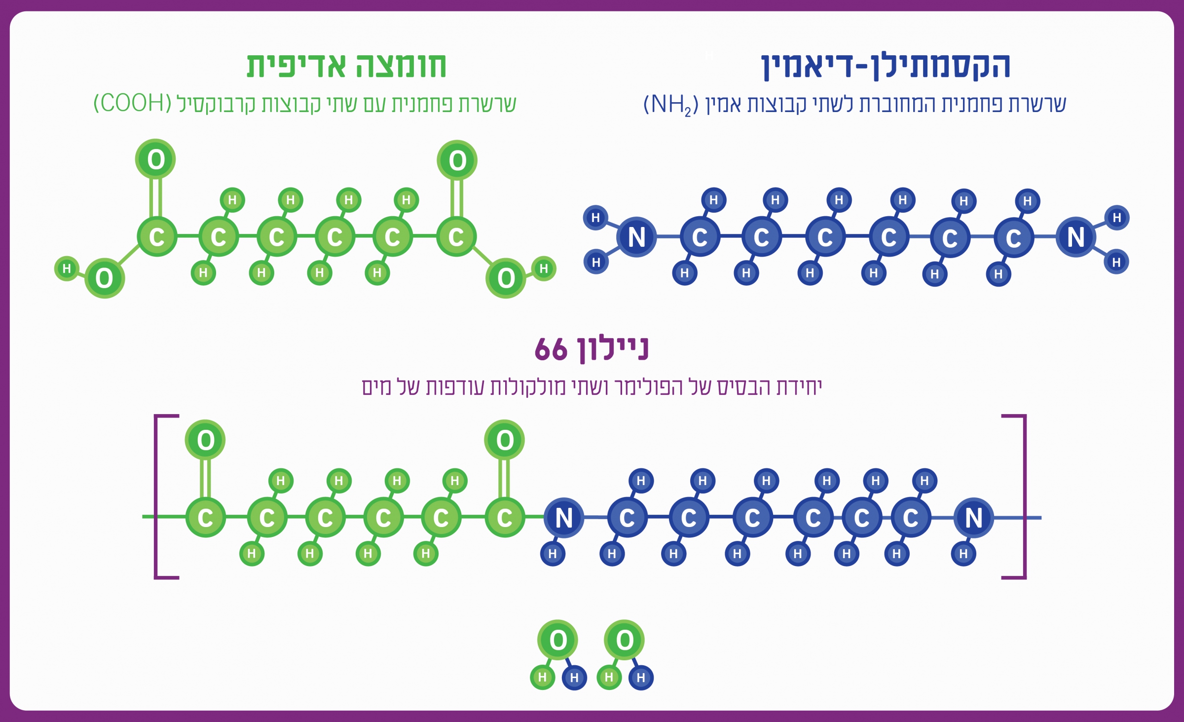 התהליך הנכון - התגובה הכימית של יצירת ניילון משני חומרי המוצא | איור: מריה גורוחובסקי
