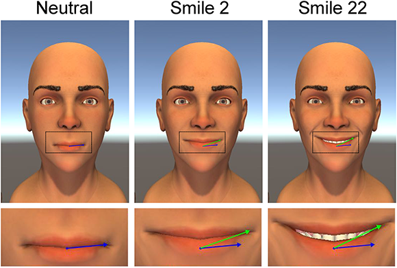 החוקרים באמצעות תוכנת מחשב 27 מודלים חיוכים בעלי מאפיינים שונים. שלושה מהחיוכים, כל אחד עם זווית שונה של הפה | מתוך המאמר, Helwig et al., 2017